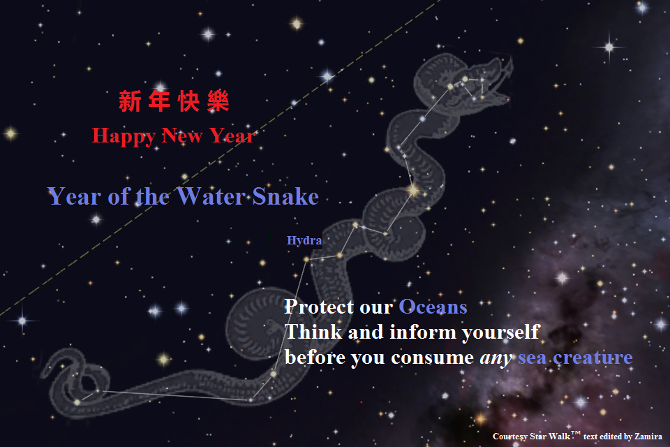 Happy New Year of Water Snake